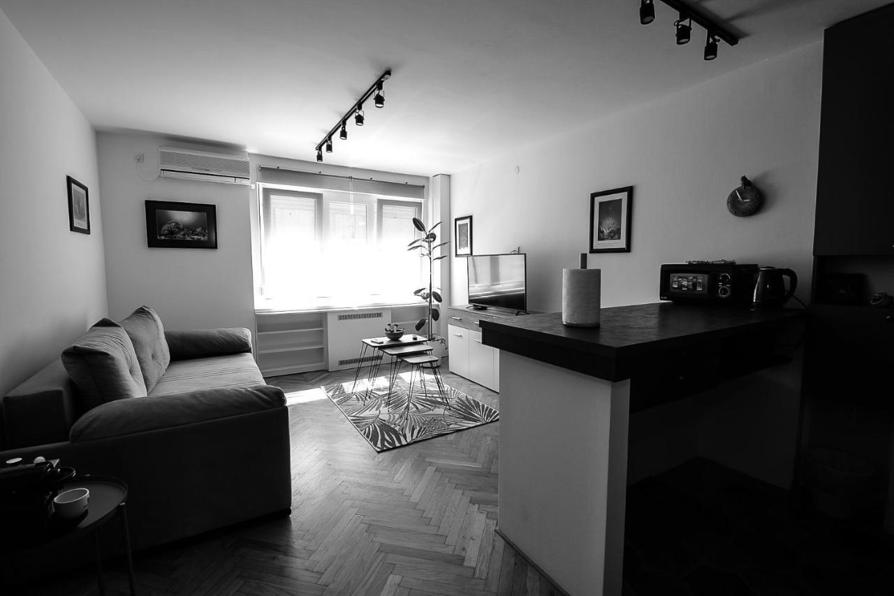 Apartment Petra 073 贝尔格莱德 外观 照片