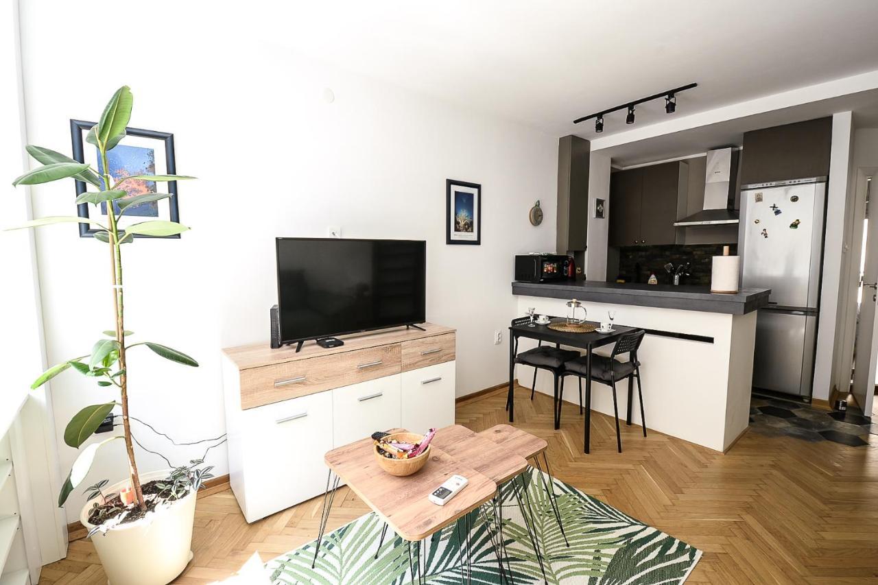 Apartment Petra 073 贝尔格莱德 外观 照片