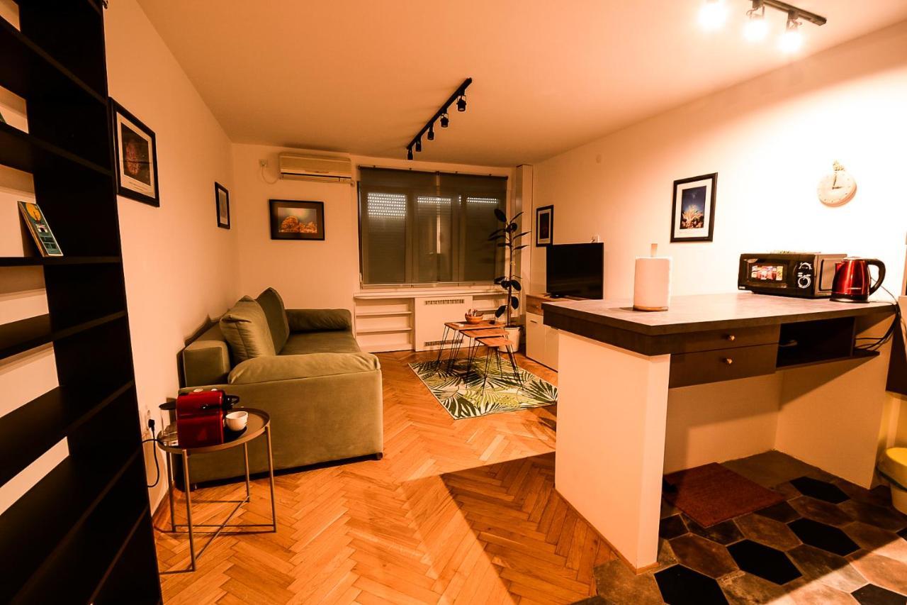 Apartment Petra 073 贝尔格莱德 外观 照片